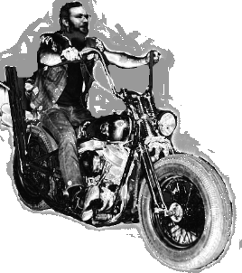 BIKE2008b.gif, 54 kB